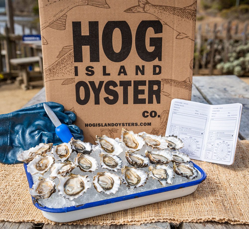 Hog Island Oyster Co. oysters on ice